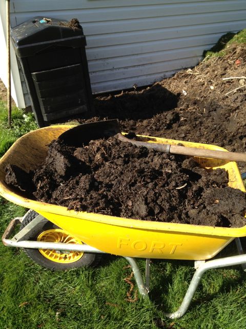 The Dirt on Composting