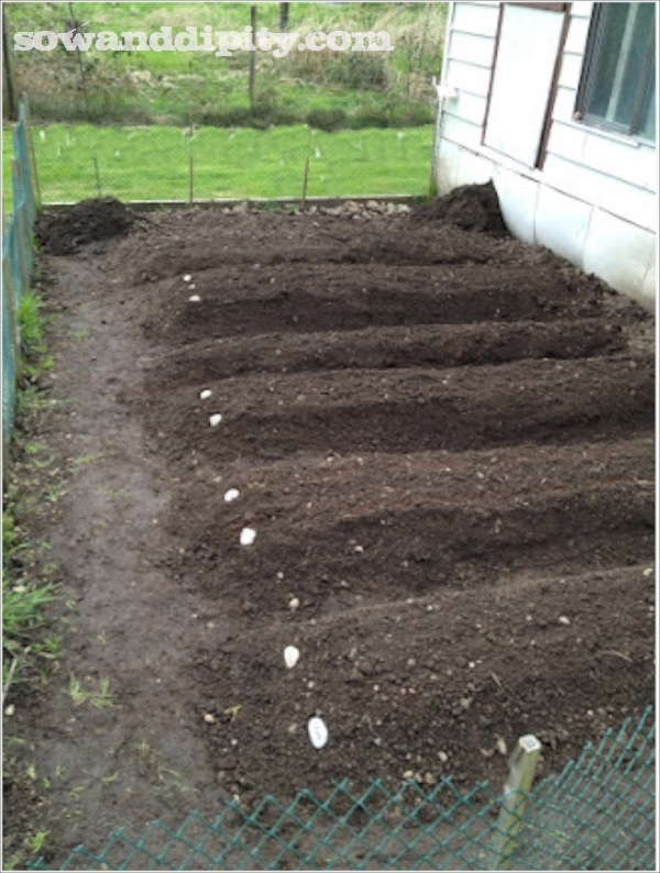 Preparing A Garden For Planting