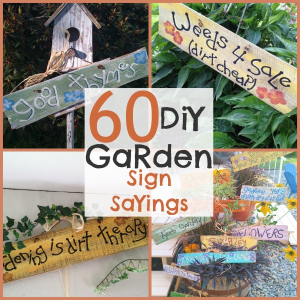 60 DIY Garden Sign Sayings