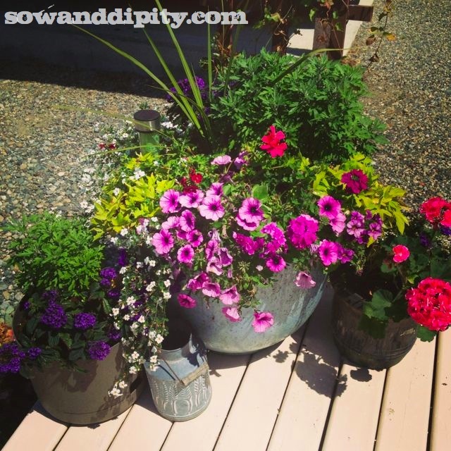 patio containers