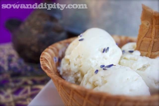 Lavender and Vanilla Ice Cream