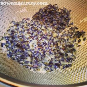strained lavender
