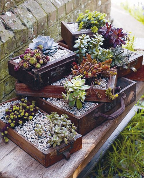 Jewel box planters