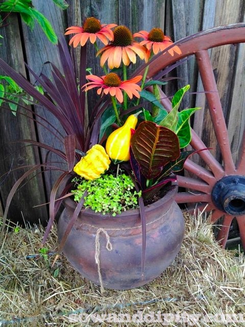 gorgeous fall planter by sow and dipity