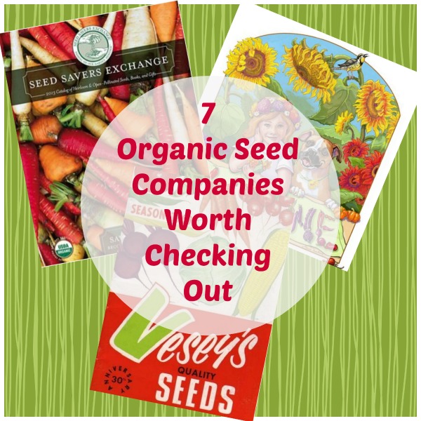 7 organic seed companies