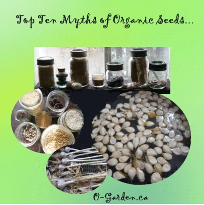 organic seed myths