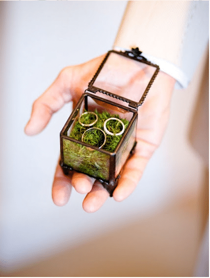 ring bearer alternatives