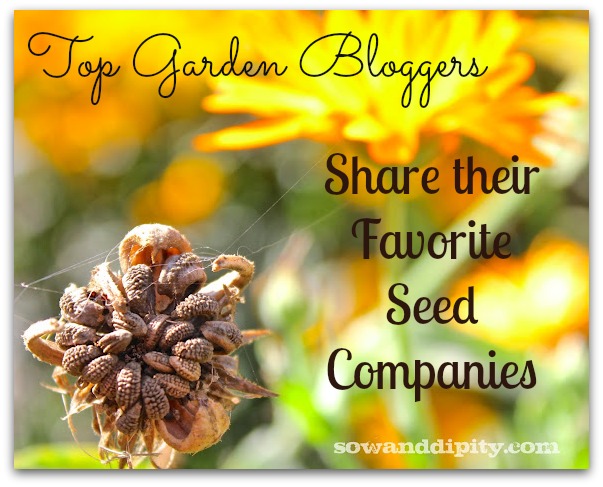 Top Garden Bloggers Share Their Favorite Seed Companies