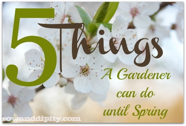 5 things a gardener can do until spring