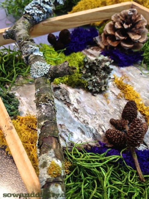 Diy Living Wall Frame - Do It Yourself Archives Living Walls And