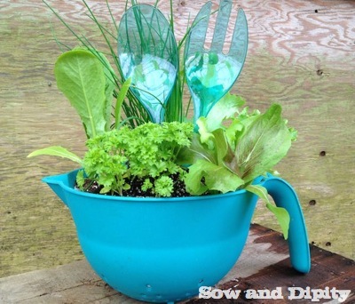 Mother's day outdoor planters cheap