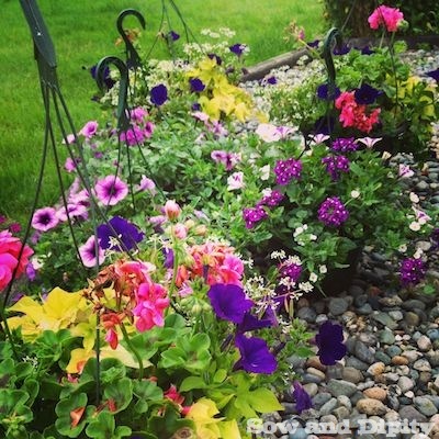 Hanging Baskets That Last All Summer Long