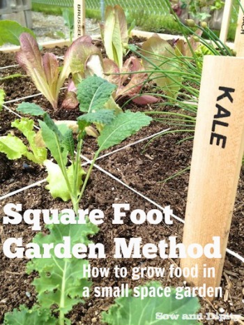Square Foot Garden Method