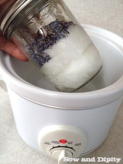 coconut oil infused with lavender (1)