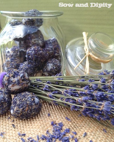 lavender and coconut oil bath (1)