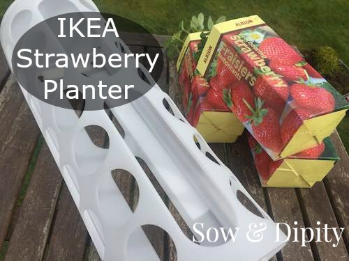 IKEA Strawberry Planter