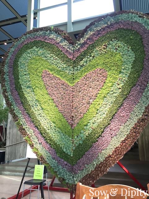 Succulent heart at the NWFGS