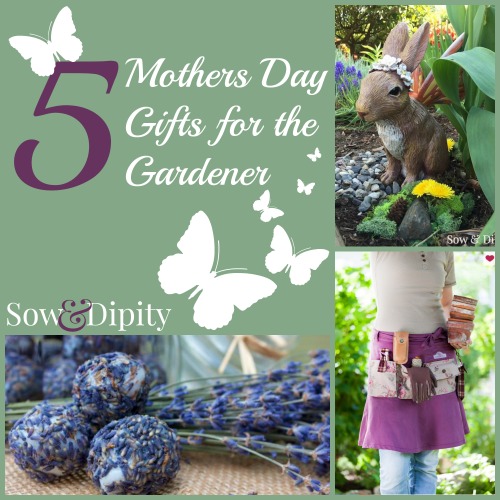 5 mothers day gifts