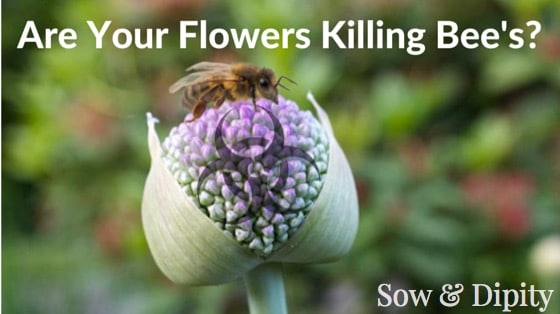 Are Your Flowers Killing Bee's_