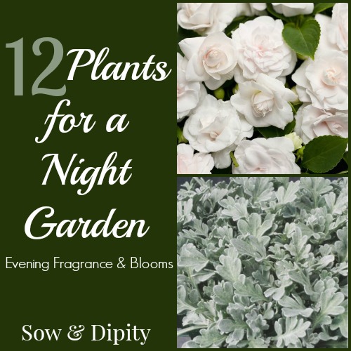 Night Garden Plants