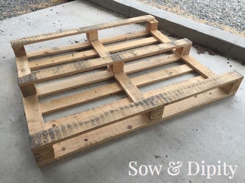 Diy Bird Feeder