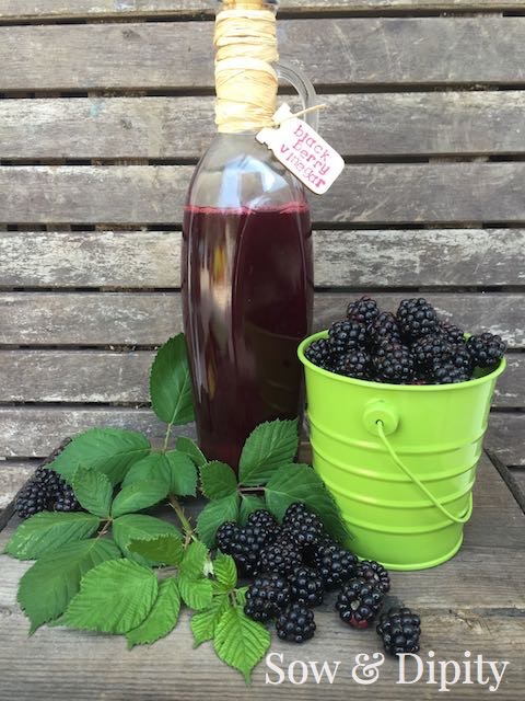 Red Wine Blackberry Vinegar