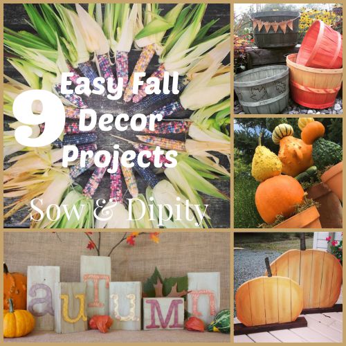 9 Fall Projects