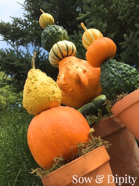 Fall crafts with gourds (1)