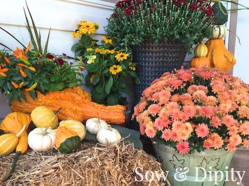 Fall crafts with gourds