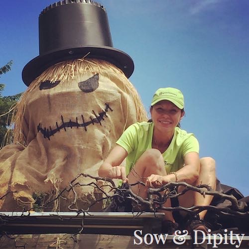 33 Cool Scarecrow Ideas