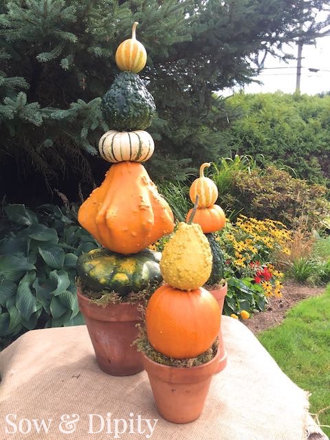 Fall Craft: Plaster of Paris Gourds, Leaves, and Pumpkins