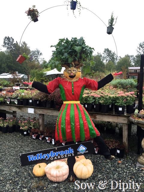 Juggling Scarecrow