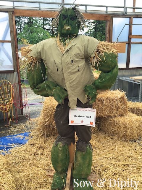 The Hulk Scarecrow (1)
