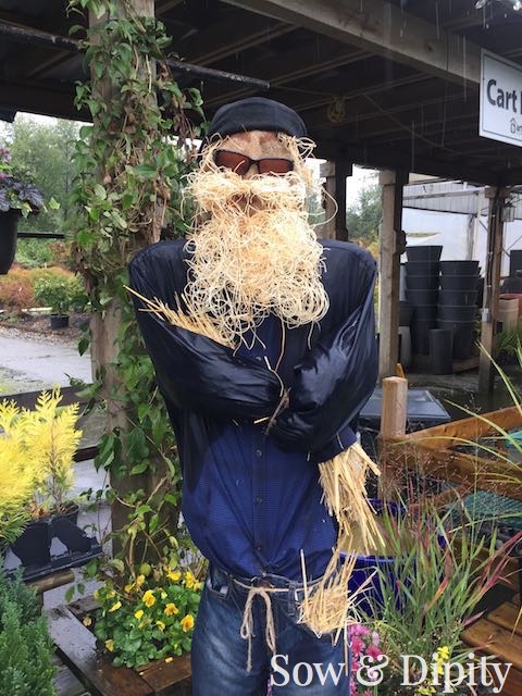 hipster scarecrow
