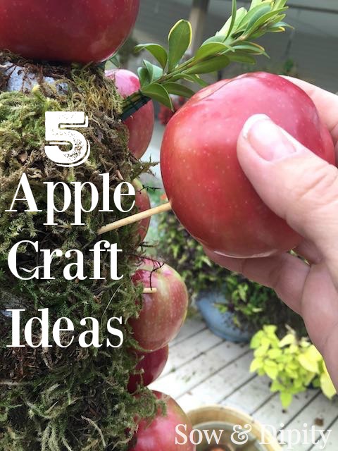 5 Apple Craft Ideas