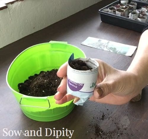 DIY seed cups