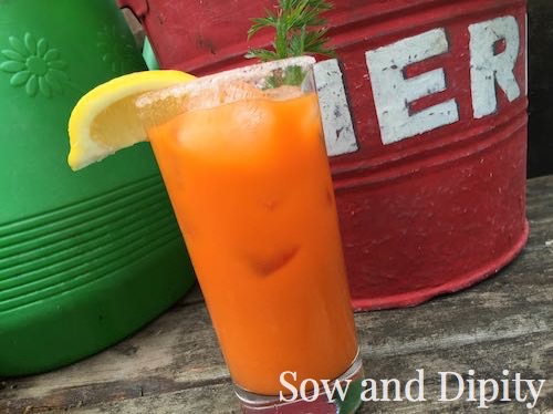 Carrot Juice Cocktail Recipe