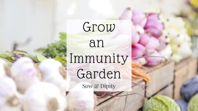 Best vegetables to grow for immune system